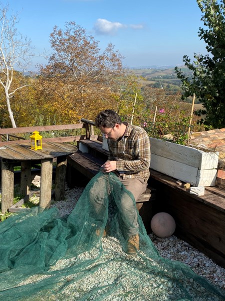 Repairing the nets for the olive harvest