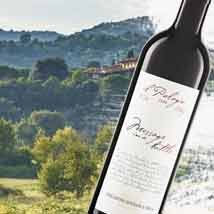 Il Palagio Winery, Tuscany