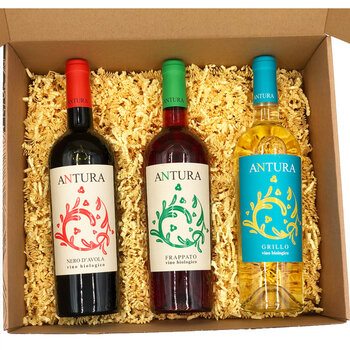 Giftbox Antura