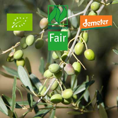 Bio Olivenöl